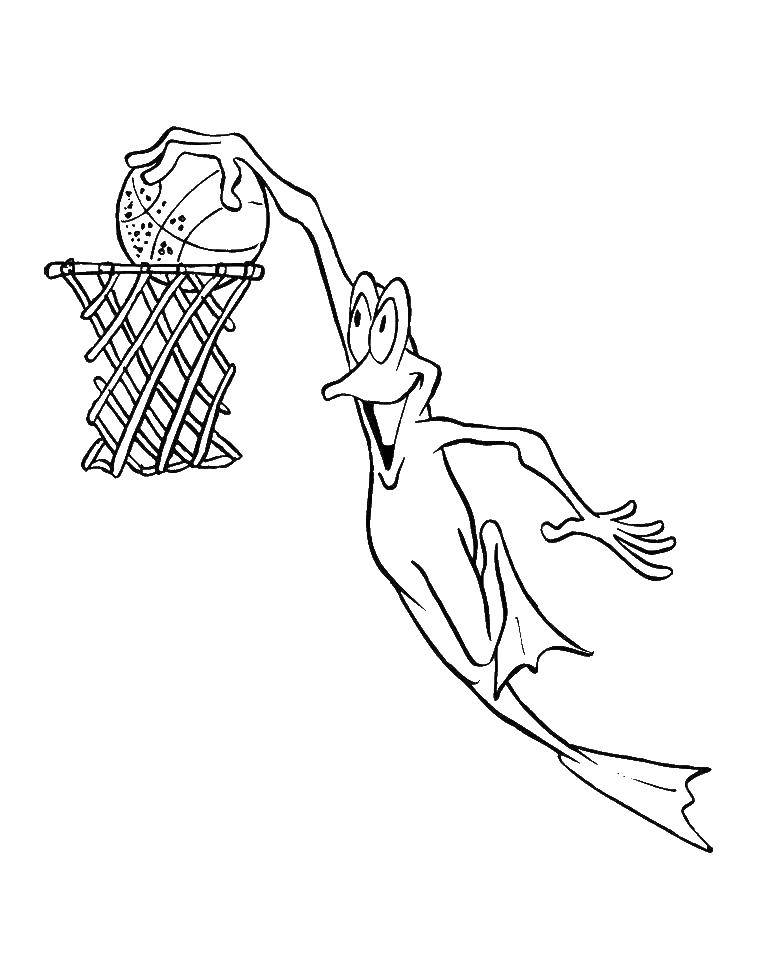 Coloring A frog and a basketball basket. Category the notebook. Tags:  frog, basket, ball.