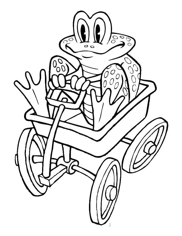 Coloring The frog on the trolley. Category the notebook. Tags:  frog, truck, wheels.