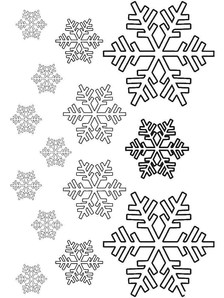 Coloring Snowflakes. Category snow. Tags:  snowflake.