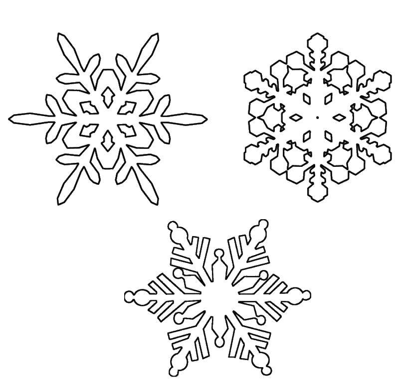Название: Раскраска Три вида различных снежинок. Категория: снег. Теги: снег, снежинки.