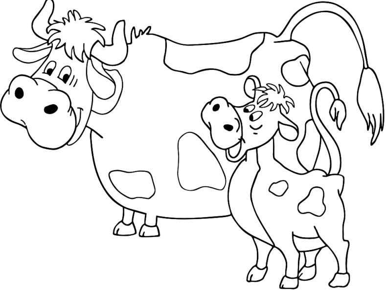 Название: Раскраска Рисунок  корова и бычок. Категория: домашние животные. Теги: корова.