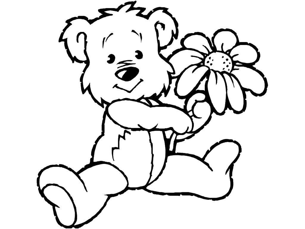 Название: Раскраска Медведь с цветком. Категория: Дети играют. Теги: медведь, игрушка, цветок.