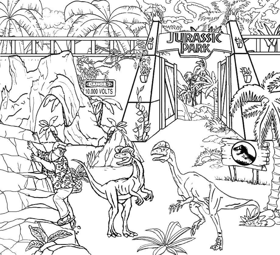 Coloring Jurassic Park. Category Disney coloring pages. Tags:  Jurassic Park, dinosaurs.