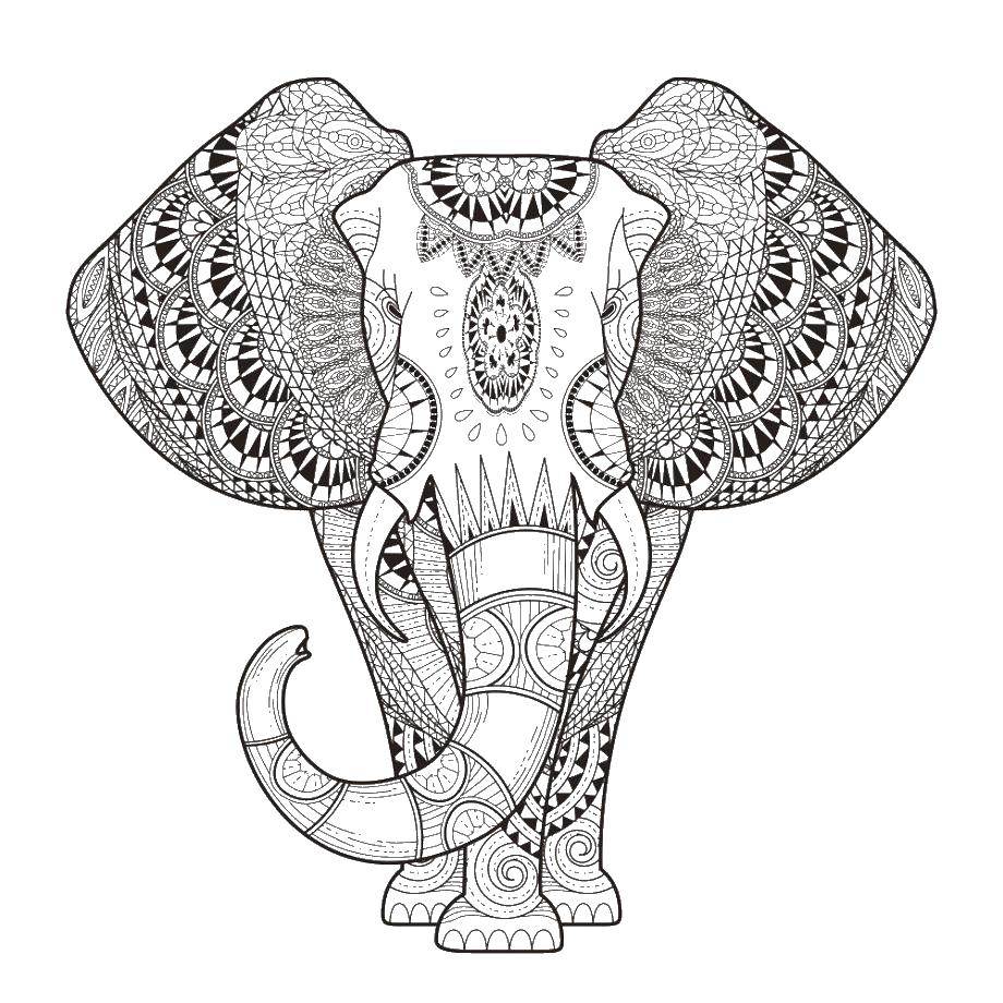 Coloring Elephant. Category coloring antistress. Tags:  elephant.