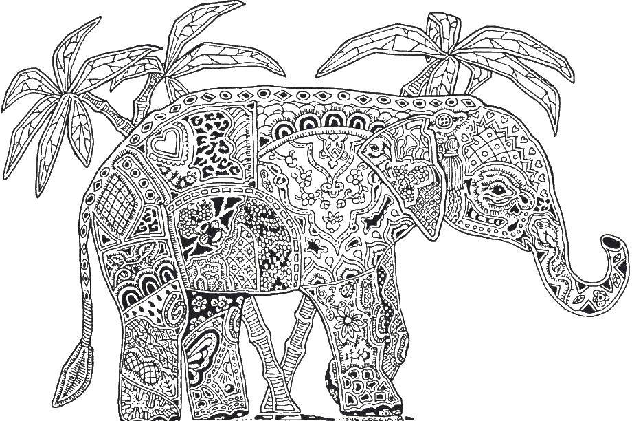 Coloring Elephant. Category coloring antistress. Tags:  elephant.