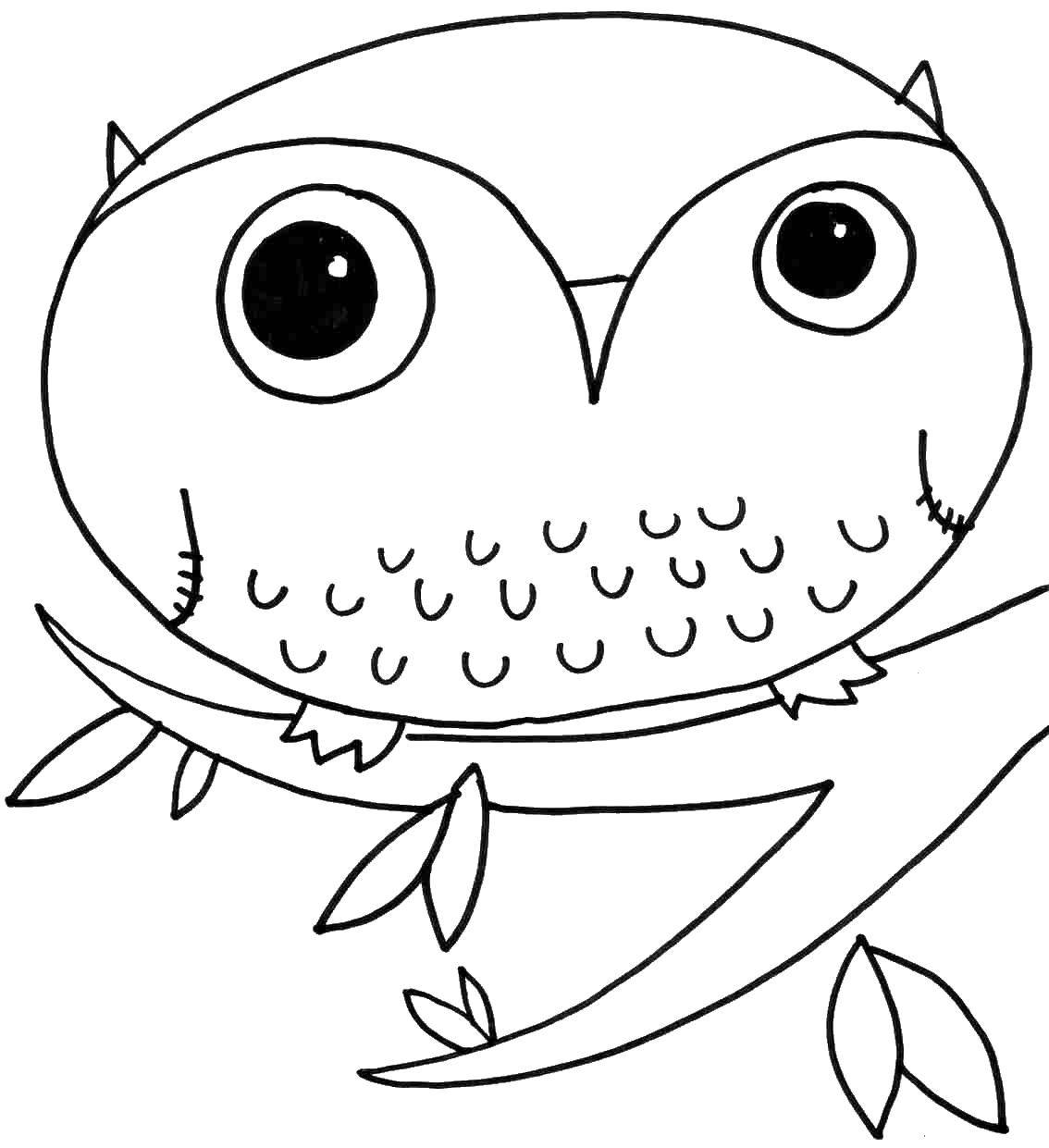 Coloring Owl on the branch. Category birds. Tags:  the owl, branch, leaves.