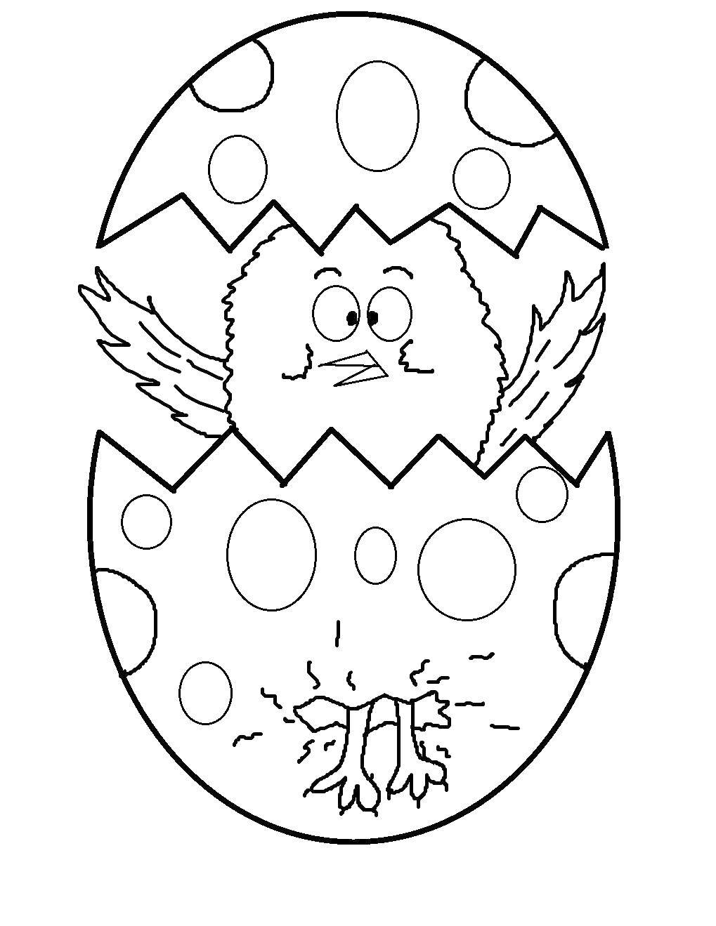 Название: Раскраска Цыпленок в яйце. Категория: Животные. Теги: цыпленок, яйцо.