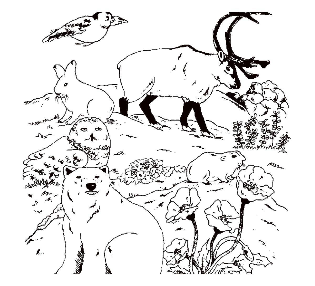 Coloring The animals of the forest. Category Wild animals. Tags:  animals, forest.