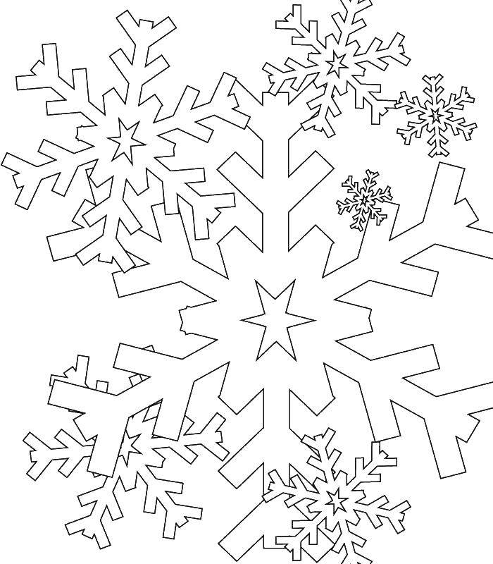 Название: Раскраска Снегопад из различных видов снежинок. Категория: снег. Теги: зима, снежинки, снегопад.