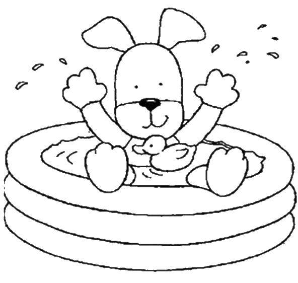 Название: Раскраска Собака в бассейне. Категория: Лето. Теги: собака, бассеин, утка.