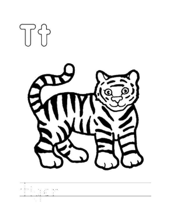 Название: Раскраска Тигр. Категория: Дикие животные. Теги: тигр, надпись.