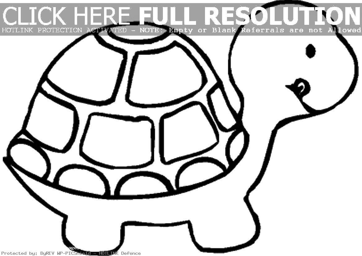 Название: Раскраска Черепаха. Категория: Животные. Теги: черепаха, панцирь.