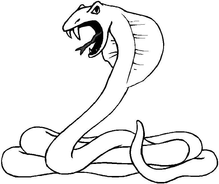 Название: Раскраска Кобра. Категория: Змея. Теги: змея, пресмыкающиеся.