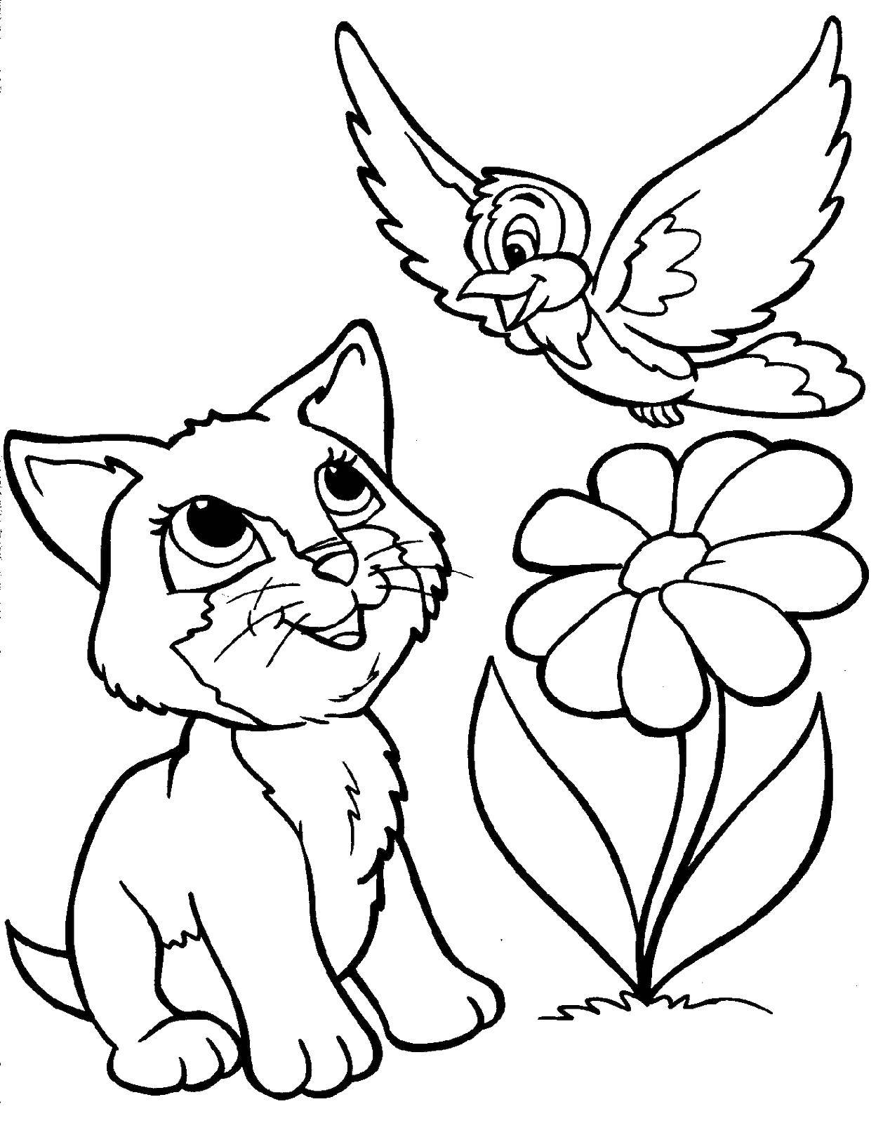 Название: Раскраска Котенок и птичка. Категория: Животные. Теги: котенок, цветок, птица.