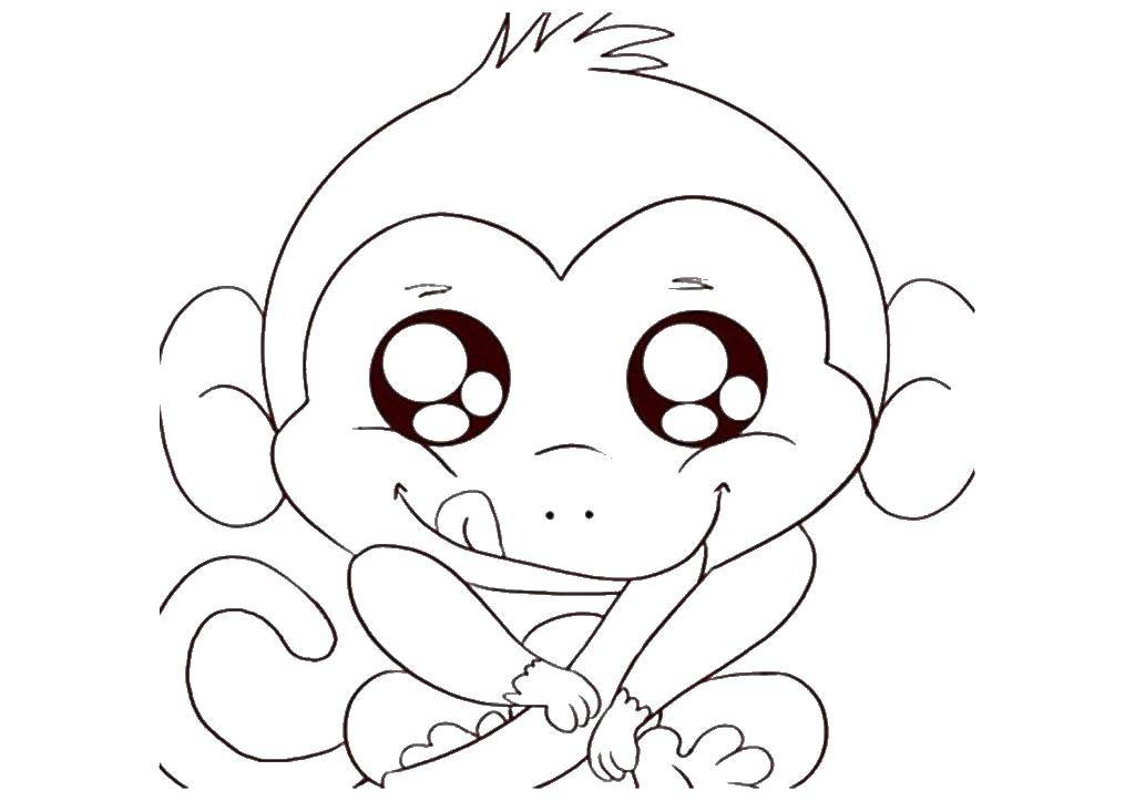 Coloring Monkey with big eyes. Category Wild animals. Tags:  monkey, eyes.