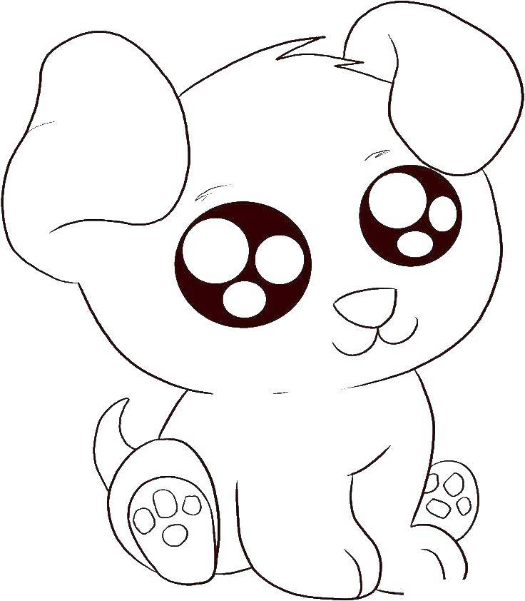 Coloring Puppy with big eyes. Category Animals. Tags:  puppy, dog.