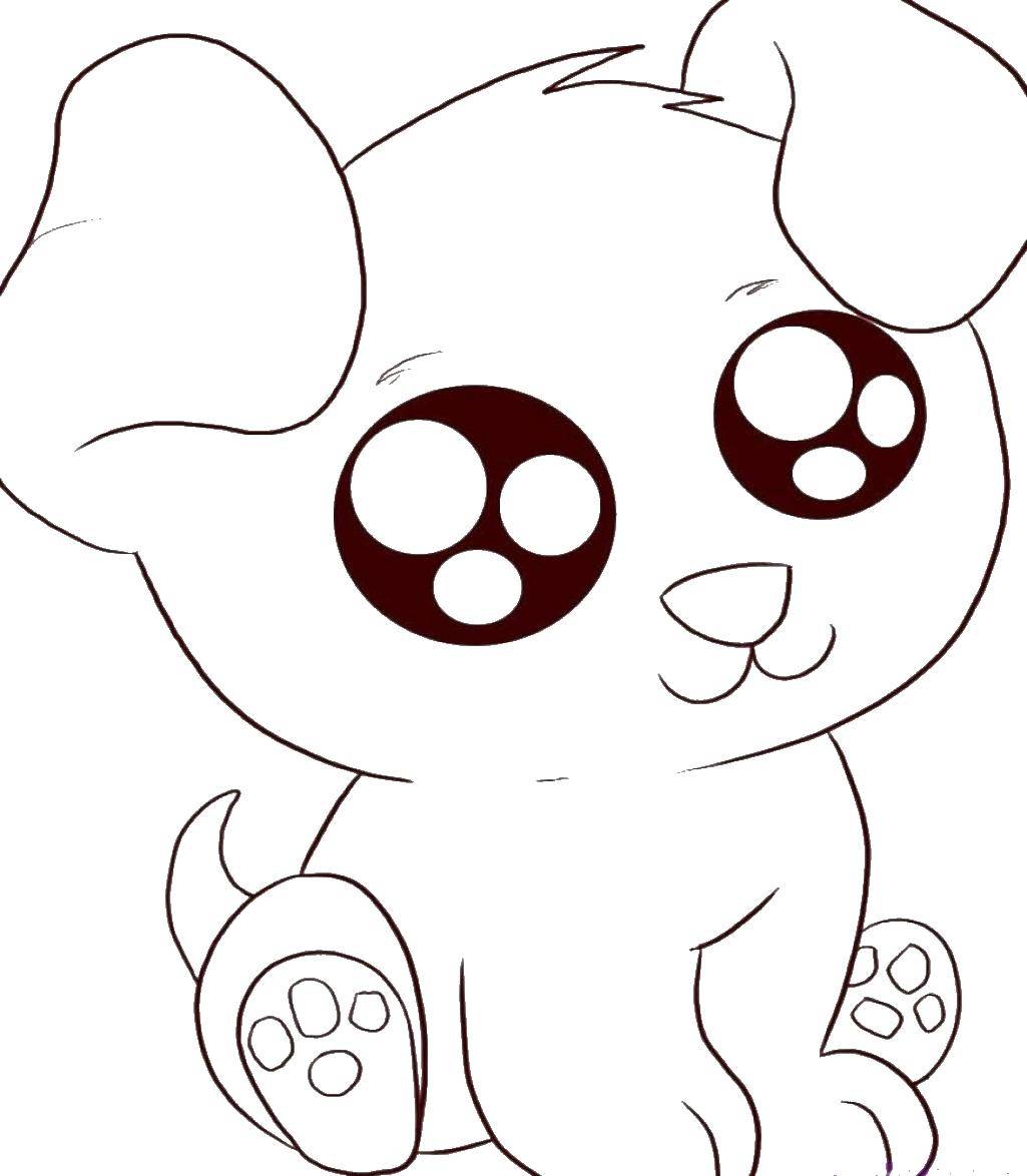 Coloring Puppy with big eyes. Category Wild animals. Tags:  puppy, dog.