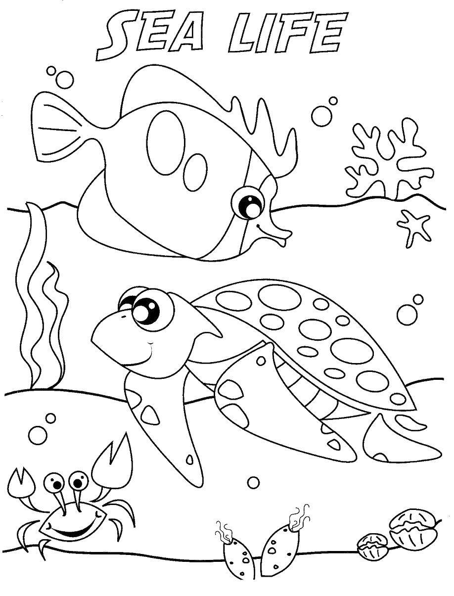 Название: Раскраска Морская жизнь друзей. Категория: Океан. Теги: Подводный мир, рыба.