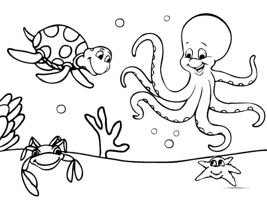 Название: Раскраска Подводные друзья. Категория: Океан. Теги: Океан, рыбы, морская звезда.