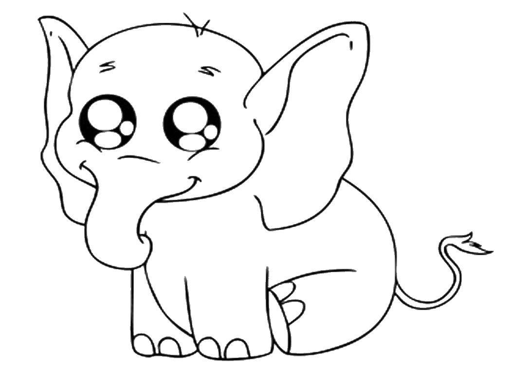 Coloring Elephant with big eyes. Category Animals. Tags:  elephant ears, trunk.