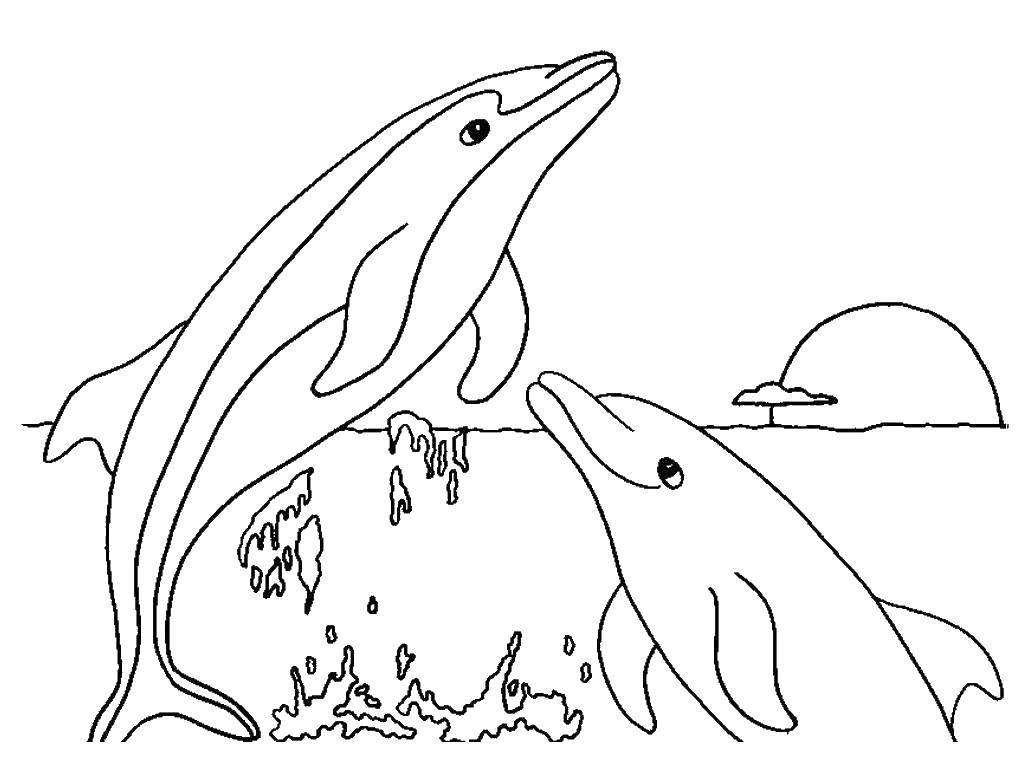 Coloring Dolphins. Category The ocean. Tags:  Dolphins, sea.