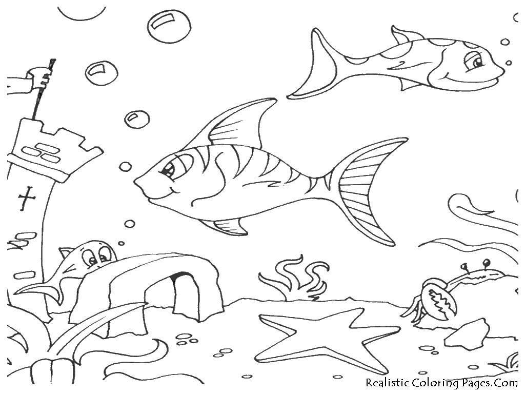 Coloring Fish under water. Category The ocean. Tags:  Fish, bottom, ocean.