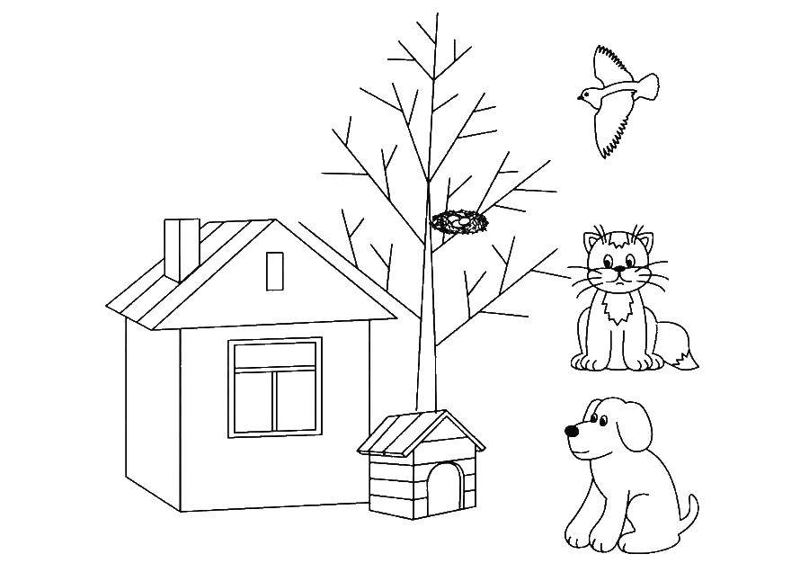 Название: Раскраска Собака и кошка у дома. Категория: домашние животные. Теги: кошка, кот, собака.