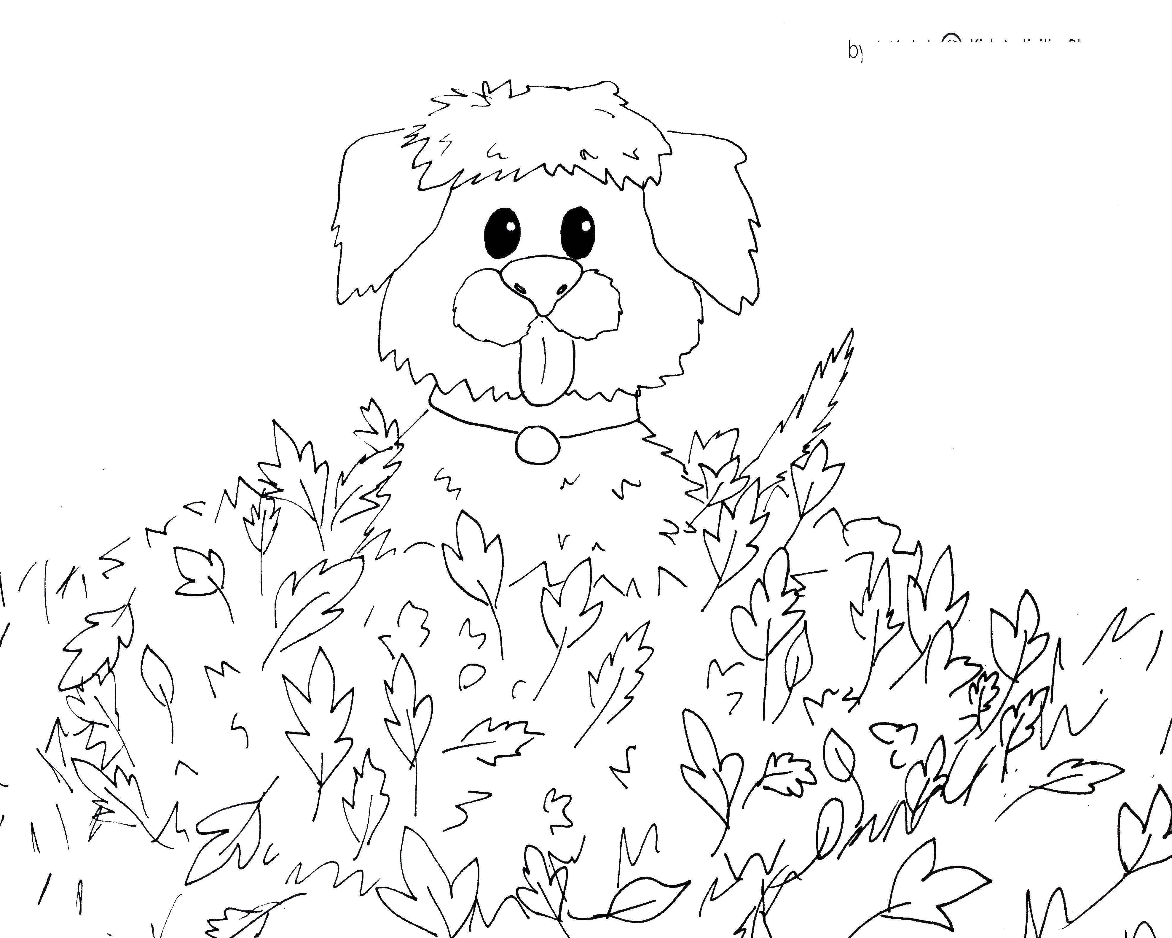 Название: Раскраска Собака спряталась в листве. Категория: Осенний листопад. Теги: листья, собака.