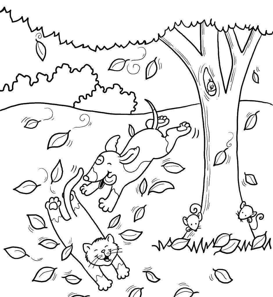 Розмальовки  Тварини грають під деревом. Завантажити розмальовку дерево, тварини.  Роздрукувати ,дерево,