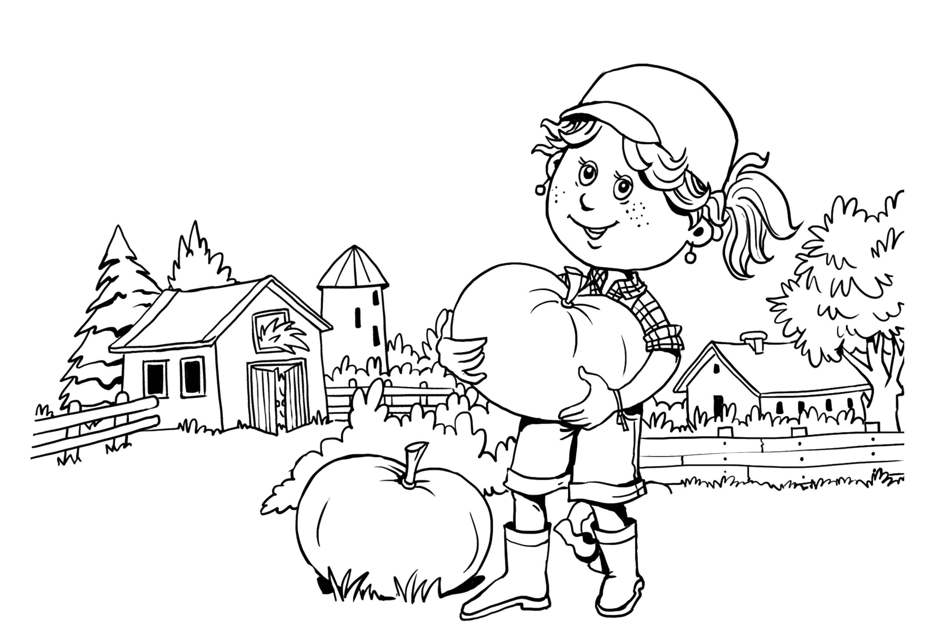 Название: Раскраска Девочка собирает тыквы. Категория: овощи. Теги: тыква, девушка.