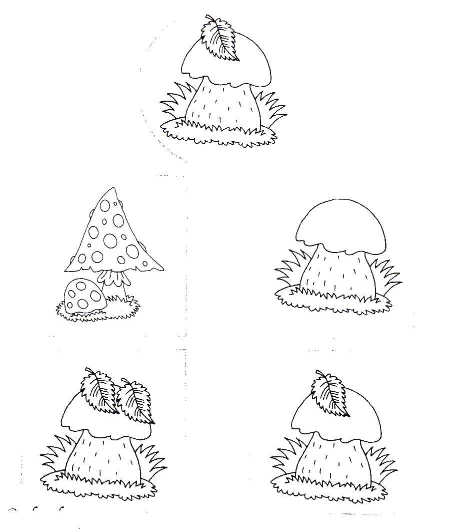 Coloring Mushrooms. Category Riddles. Tags:  mushrooms, pair, mushrooms.