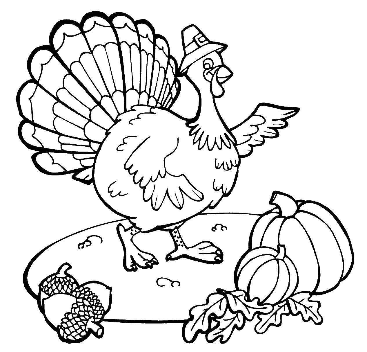 Coloring Turkey. Category birds. Tags:  Turkey.