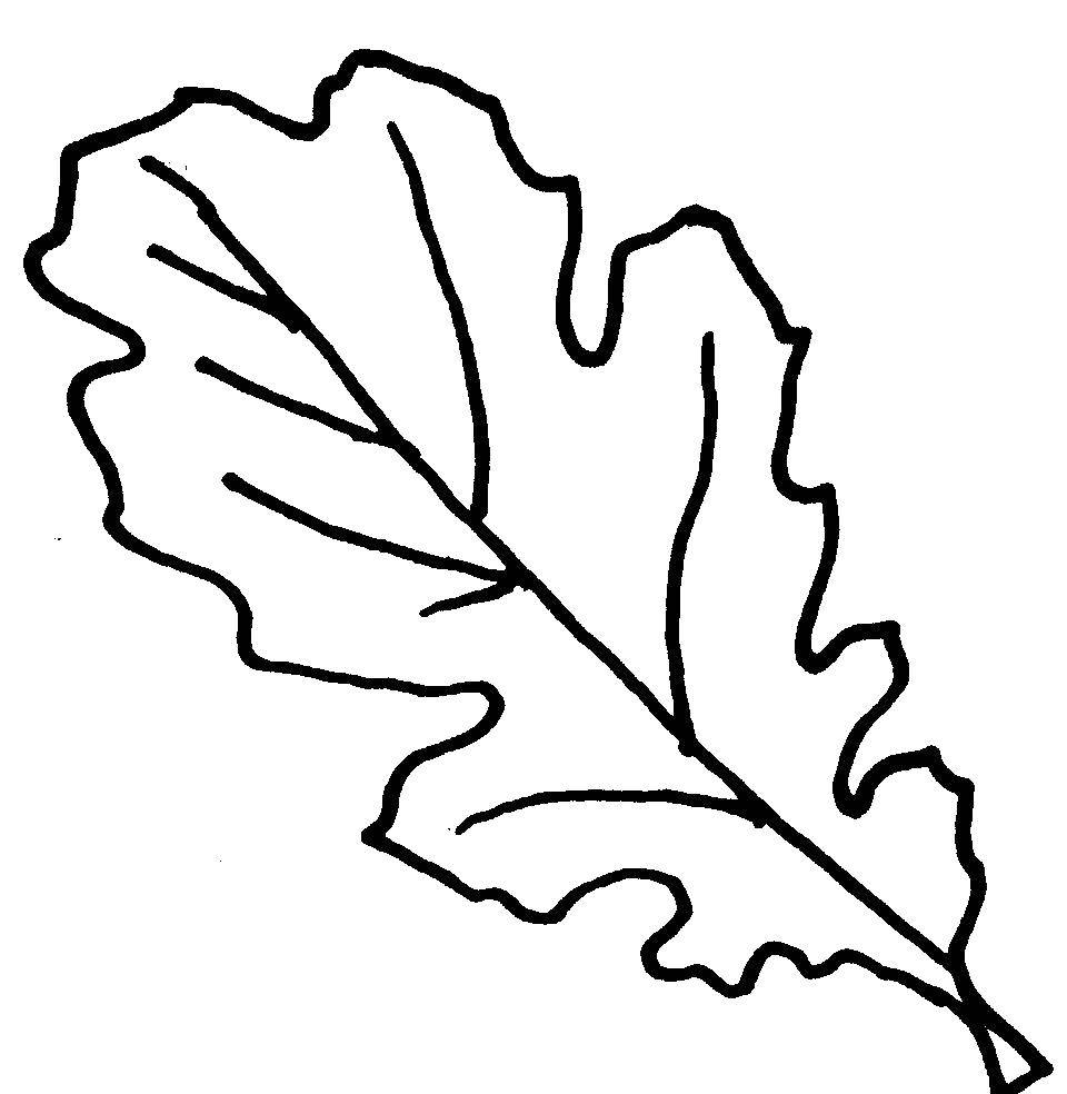 Название: Раскраска Лист. Категория: листья. Теги: лист.