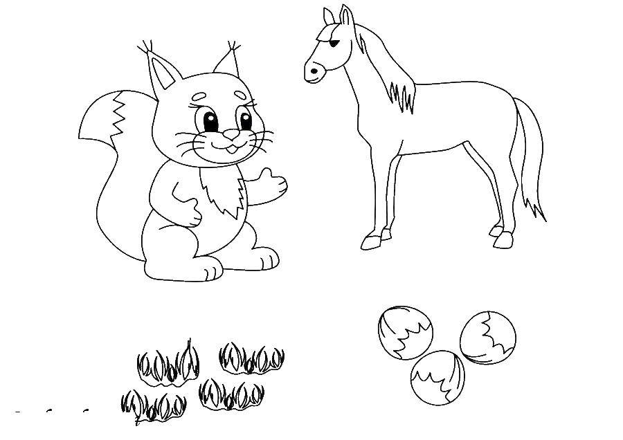 Coloring Horse and protein. Category Animals. Tags:  squirrel, horse.