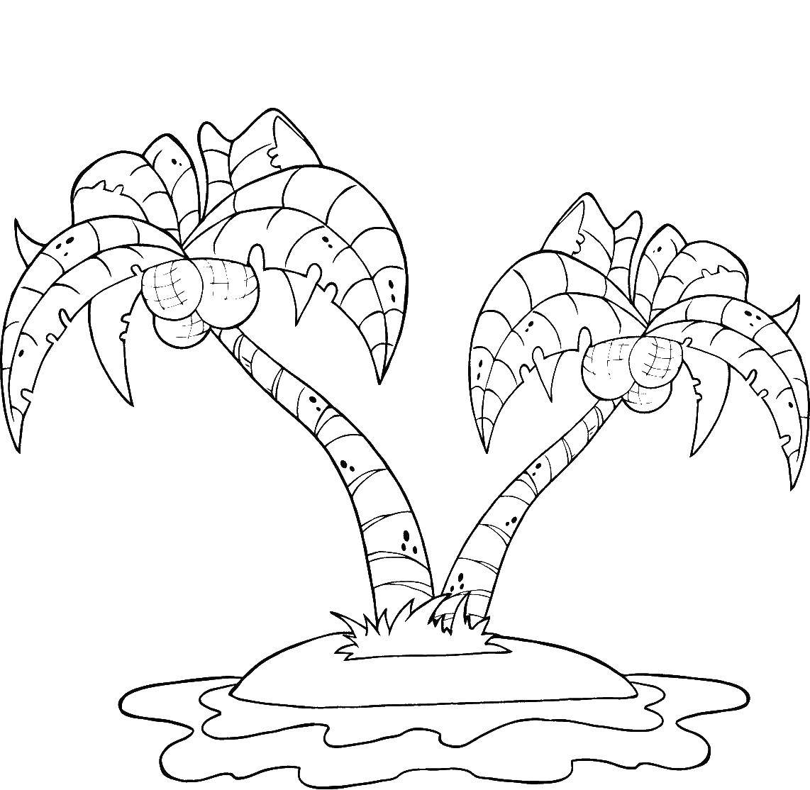 Раскраски остров, Раскраска Пальма на острове .