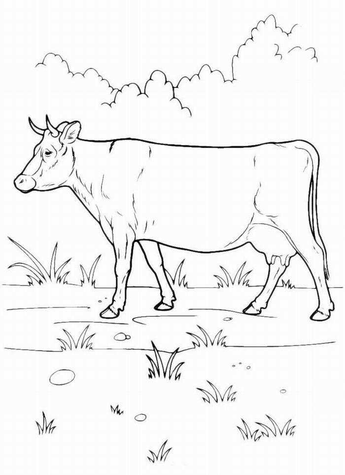Название: Раскраска Рисунок корова. Категория: домашние животные. Теги: корова.