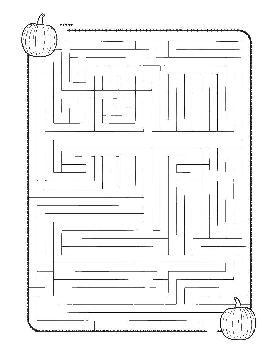 Coloring Pumpkin maze. Category the labyrinth. Tags:  pumpkin.