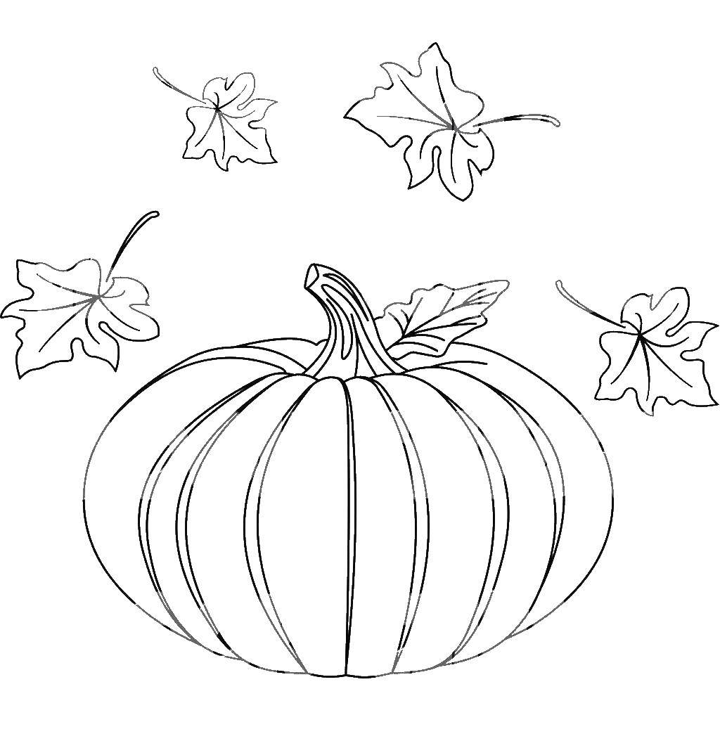 Coloring Pumpkin. Category Vegetables. Tags:  vegetables, pumpkins.