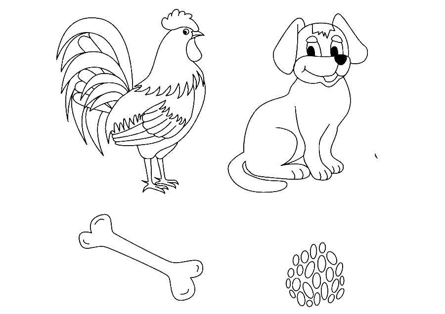 Розмальовки  Тварини. Завантажити розмальовку загадка, тварини.  Роздрукувати ,загадка,