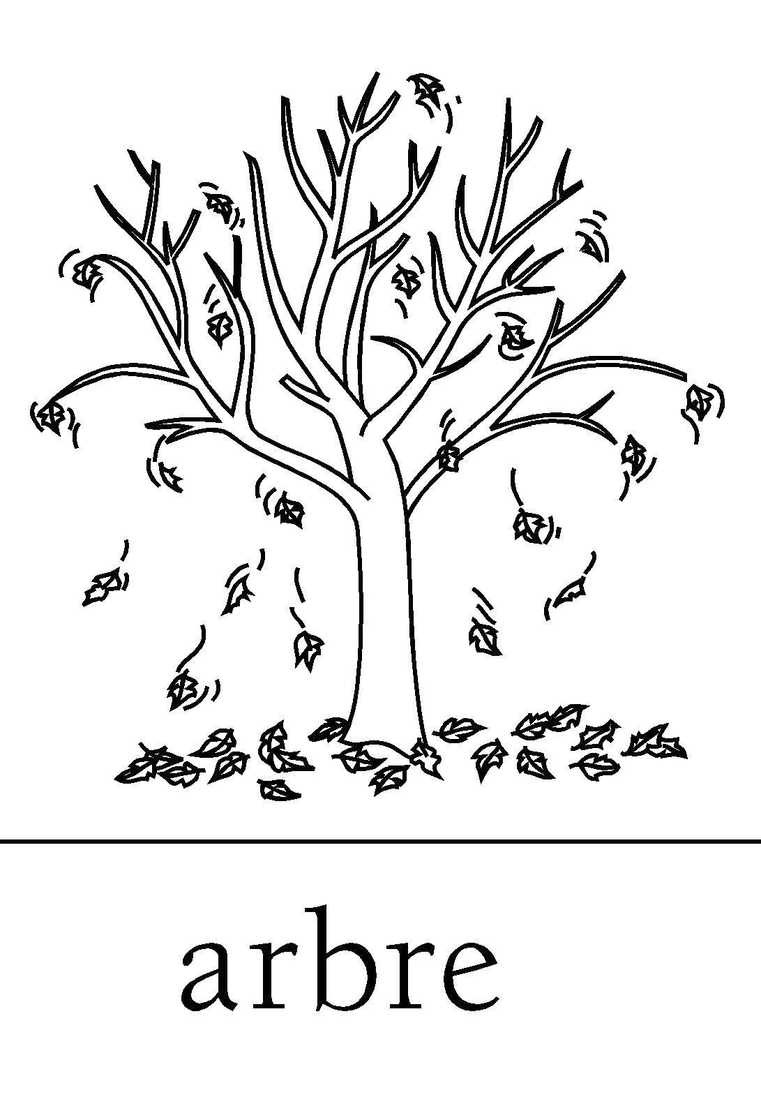 Coloring Tree without leaves. Category tree. Tags:  tree, leaves.