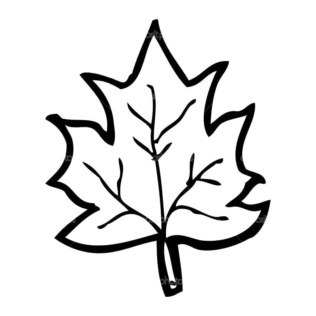 Coloring Sheet. Category leaves. Tags:  leaf.