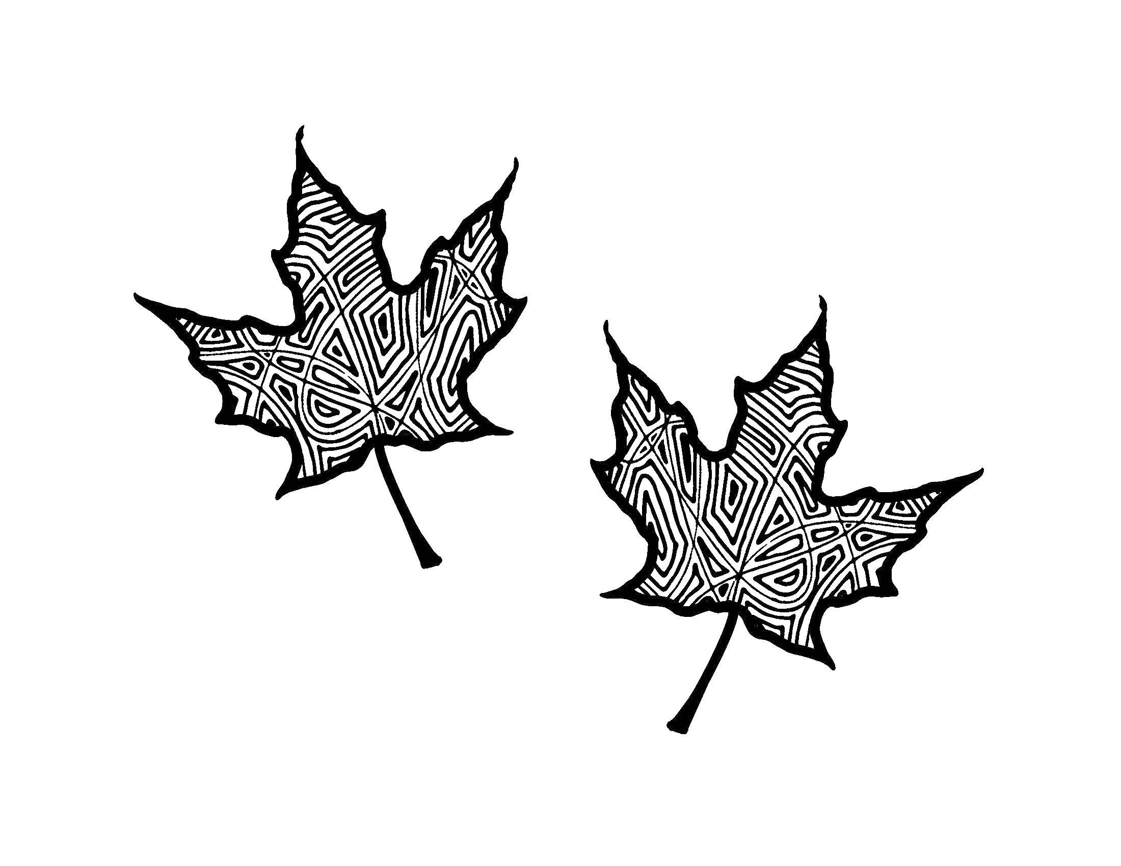 Название: Раскраска Листья. Категория: листья. Теги: листья.