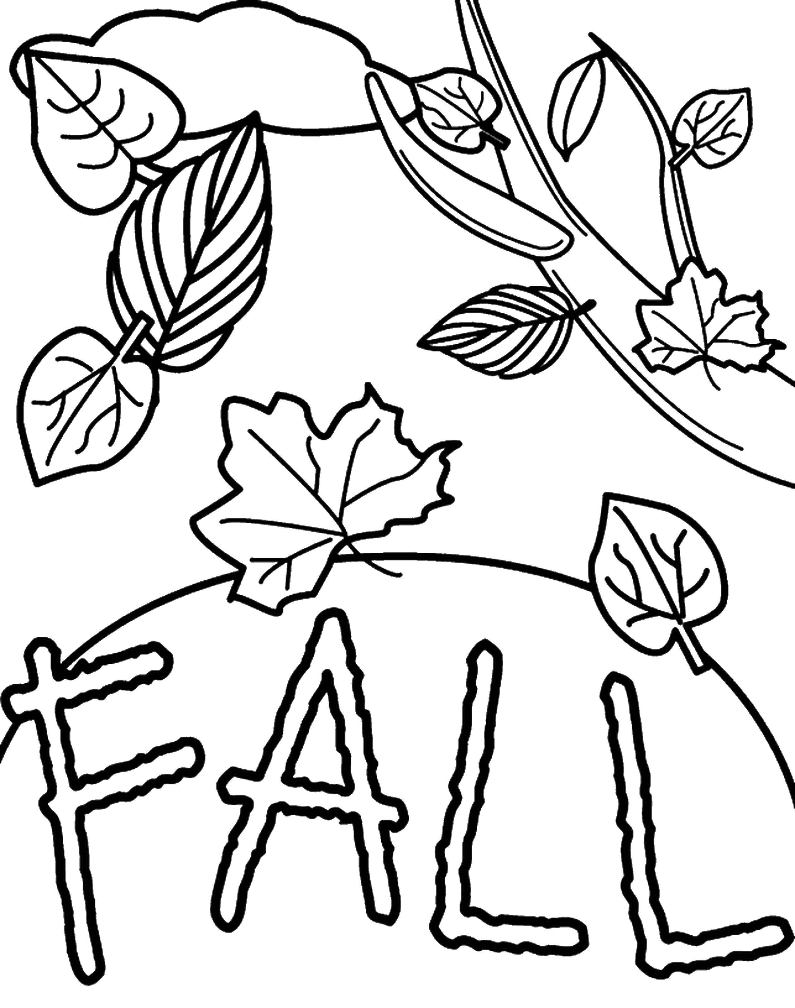 Буквы на осенних листьях раскраска