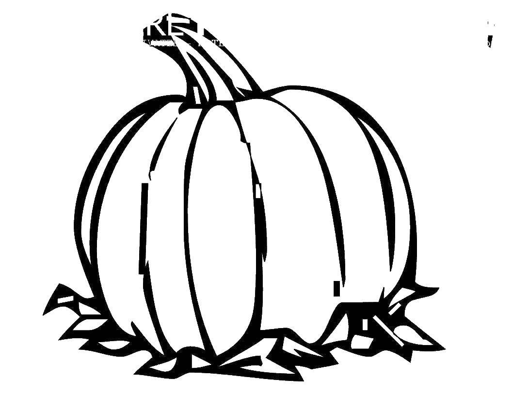 Coloring Pumpkin. Category vegetables. Tags:  pumpkin, leaves, autumn.