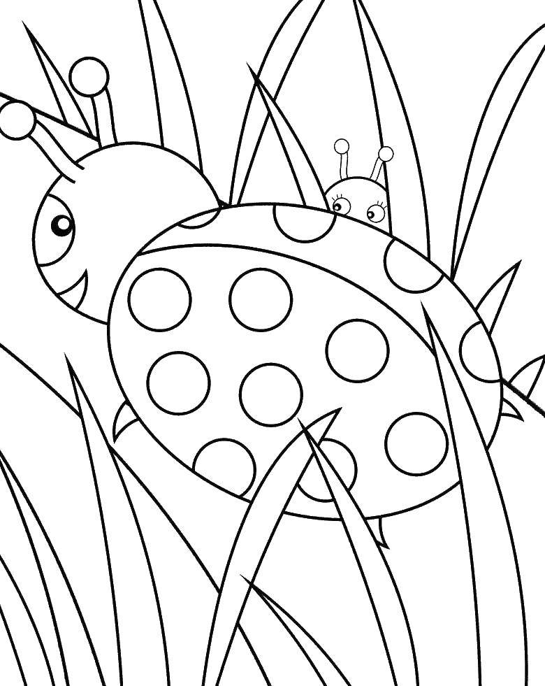 Coloring Ladybug. Category Ladybug. Tags:  insects, ladybug.