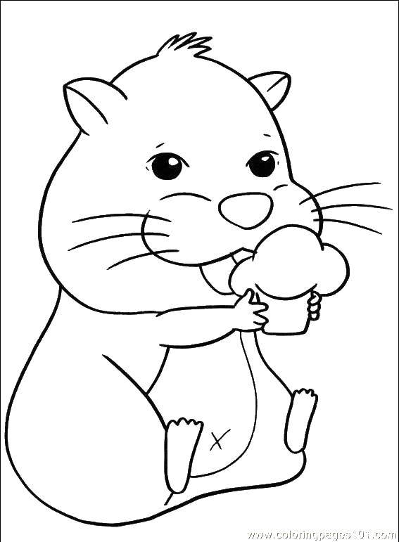 Coloring Hamster eats cake. Category Animals. Tags:  animals, hamster, cake.