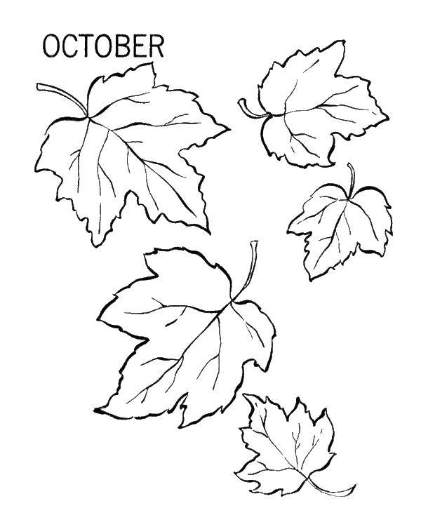 Название: Раскраска Октябрь. Категория: Осенний листопад. Теги: листья, осень, Октябрь.