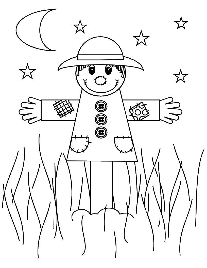 Coloring Scarecrow. Category Scarecrow. Tags:  Scarecrow, vegetable garden.