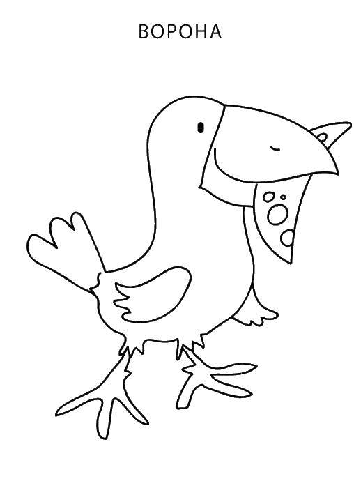 Coloring Crow with a slice of cheese. Category birds. Tags:  crow.