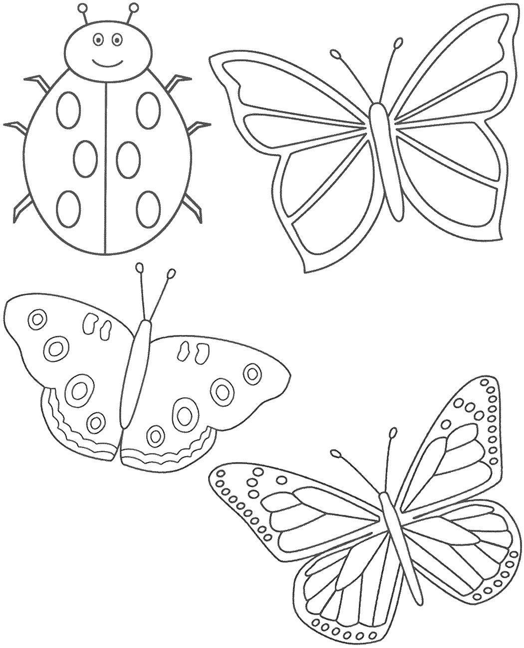 Coloring Ladybug and butterfly. Category Ladybug. Tags:  insects, ladybirds, butterflies.